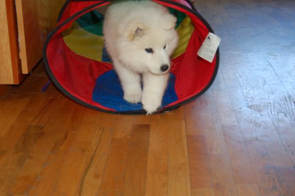 Feefa in her new home